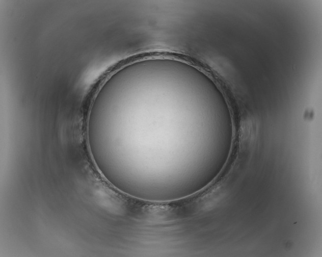 X0000111901310200907271148