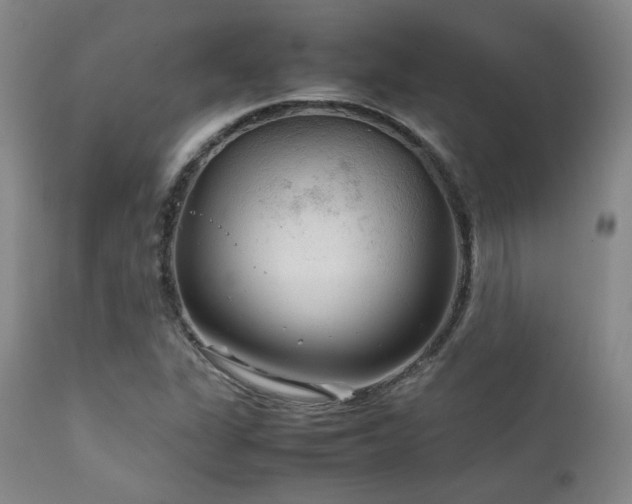 X0000111901311200907271148