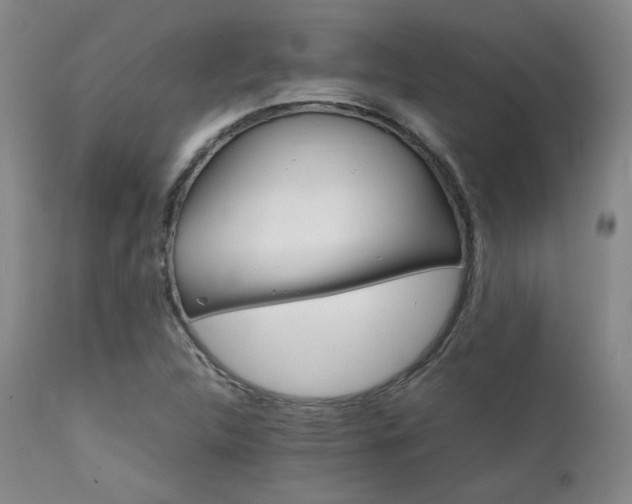 X0000111901312200907271148