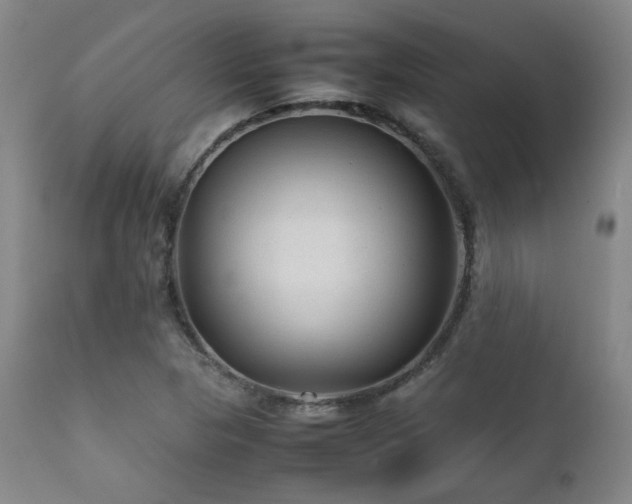 X0000111901313200907271148