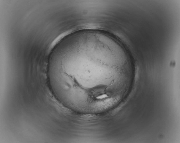 X0000111901314200907271148
