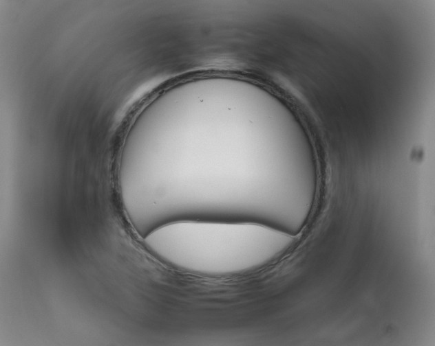 X0000111901315200907271148
