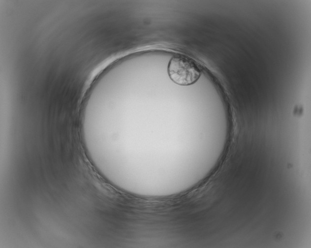 X0000111901316200907271148