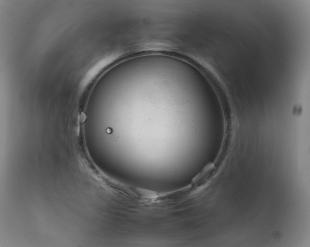 X0000111901317200907271148