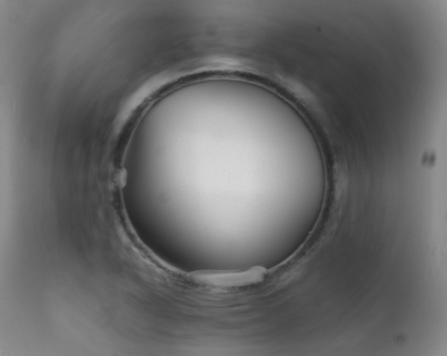 X0000111901318200907271148