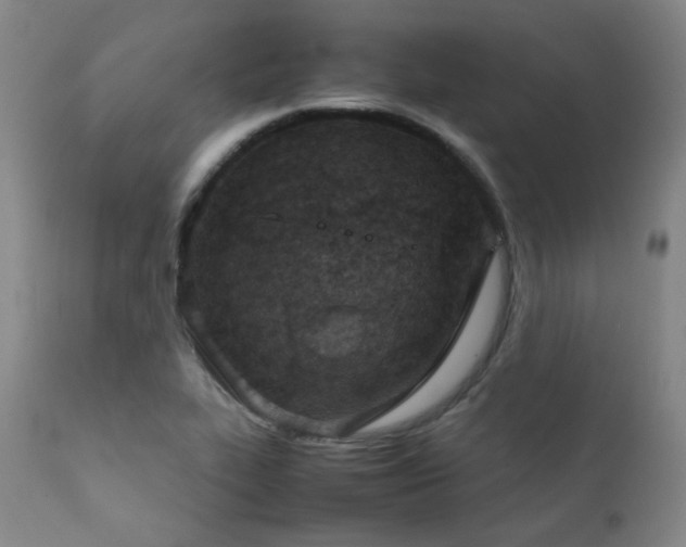 X0000111901319200907271148