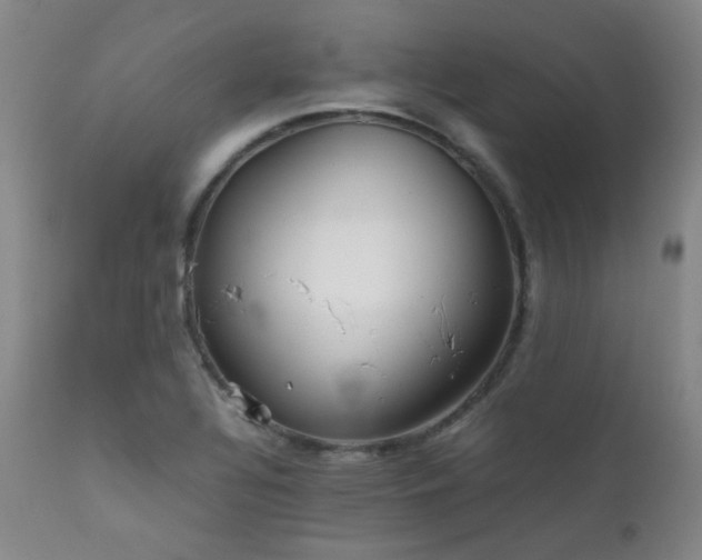 X0000111901320200907271148