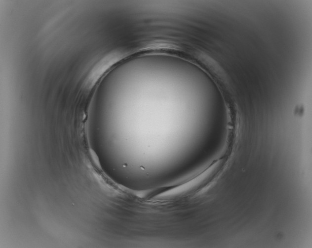 X0000111901321200907271148