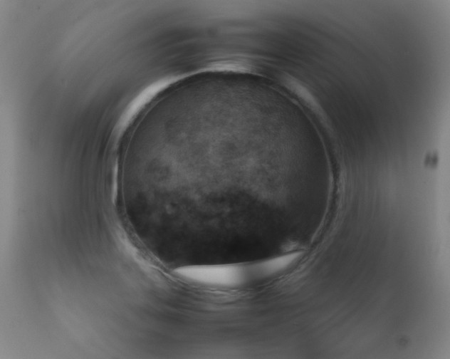 X0000111901323200907271148