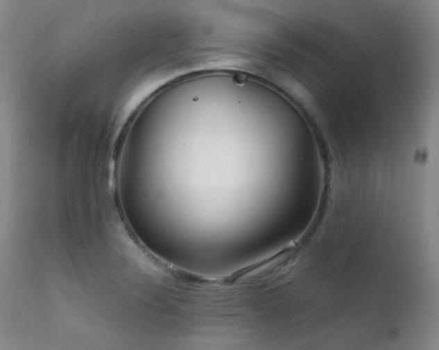 X0000111901324200907271148