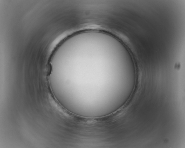 X0000111901326200907271148
