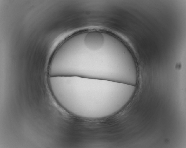 X0000111901327200907271148