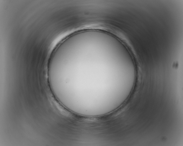 X0000111901328200907271148