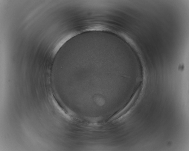 X0000111901329200907271148