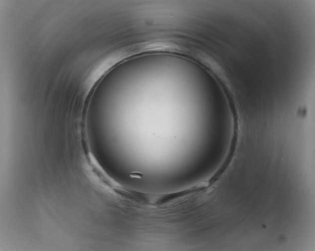 X0000111901330200907271148