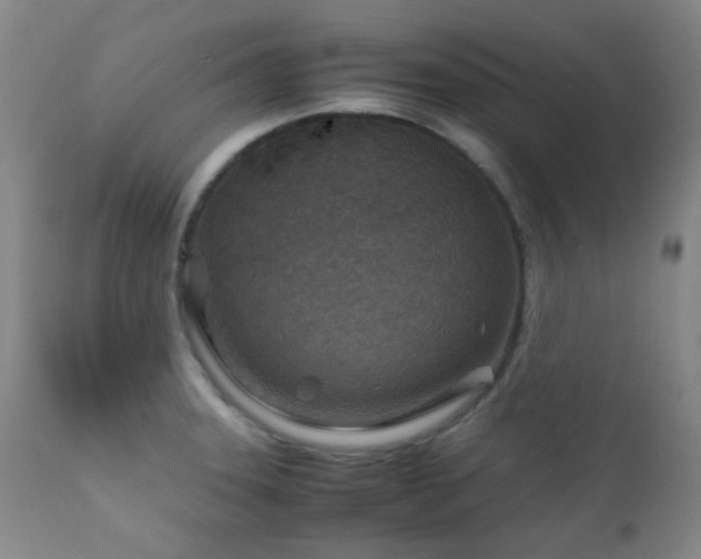X0000111901331200907271148