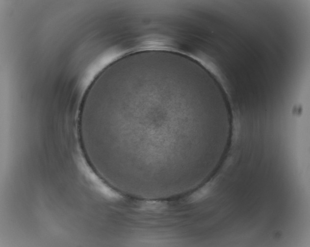 X0000111901333200907271148