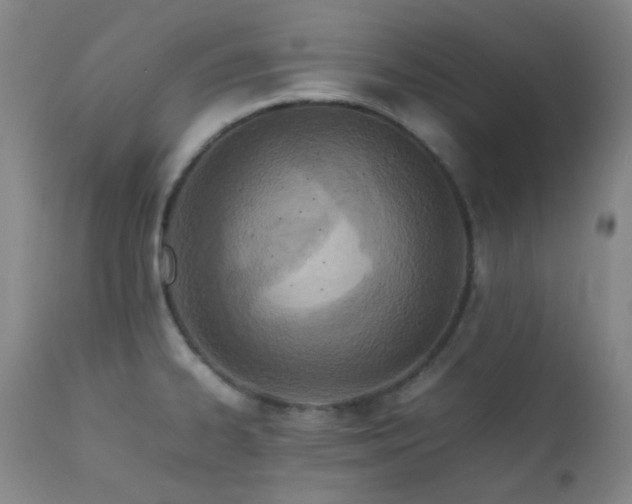 X0000111901334200907271148