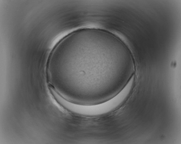 X0000111901335200907271148