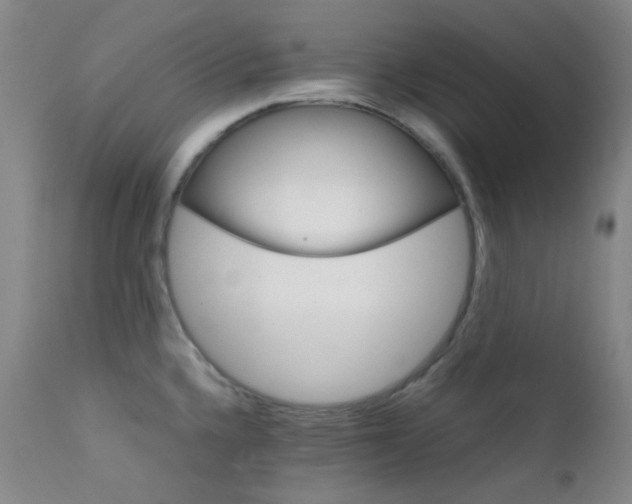 X0000111901336200907271148