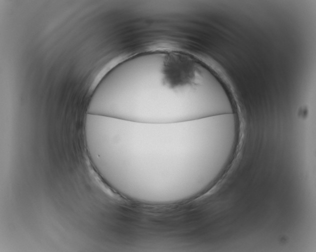X0000111901337200907271148