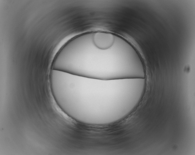 X0000111901339200907271148