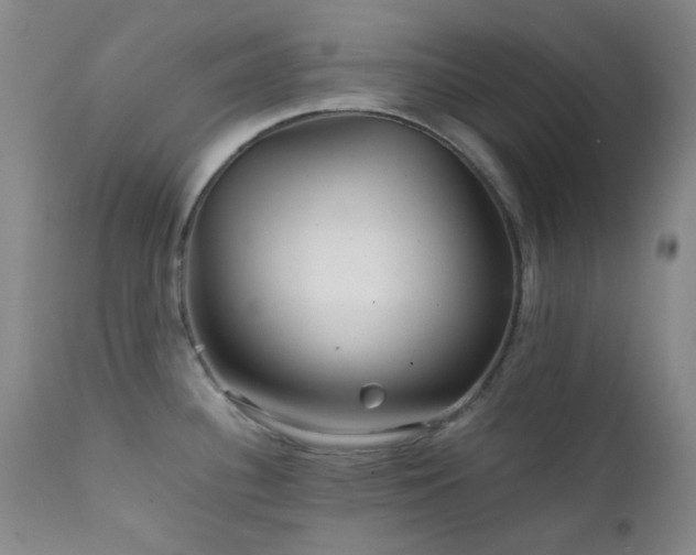 X0000111901340200907271148