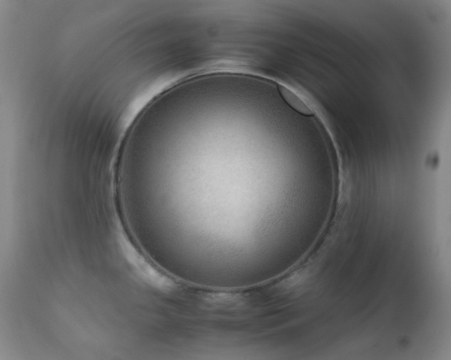 X0000111901341200907271148