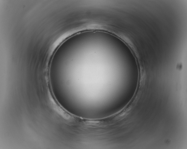 X0000111901342200907271148