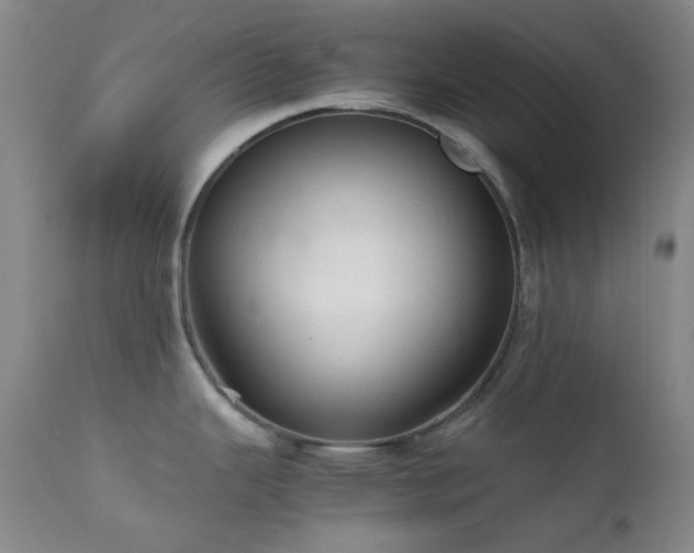 X0000111901343200907271148