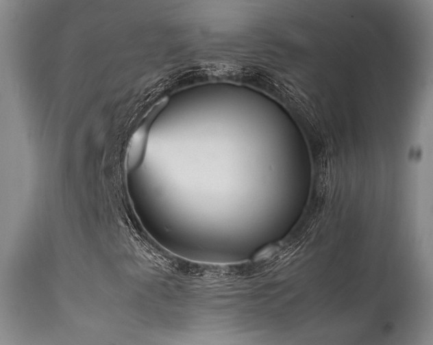 X0000111901345200907271148