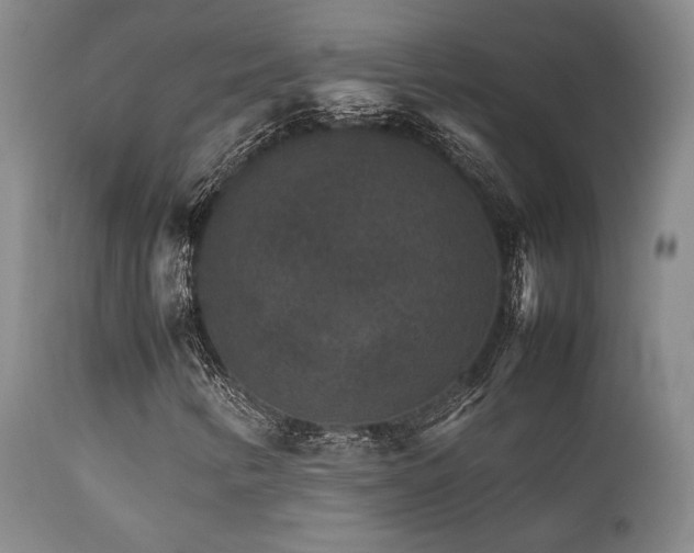 X0000111901346200907271148