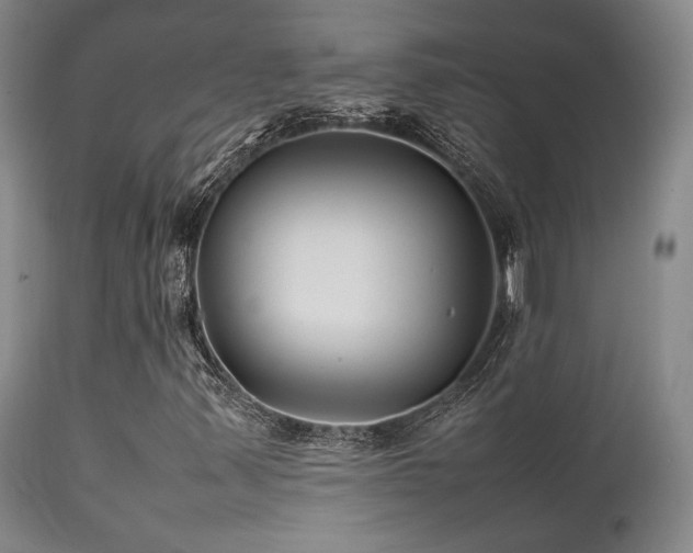 X0000111901347200907271148