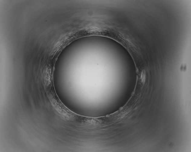 X0000111901348200907271147