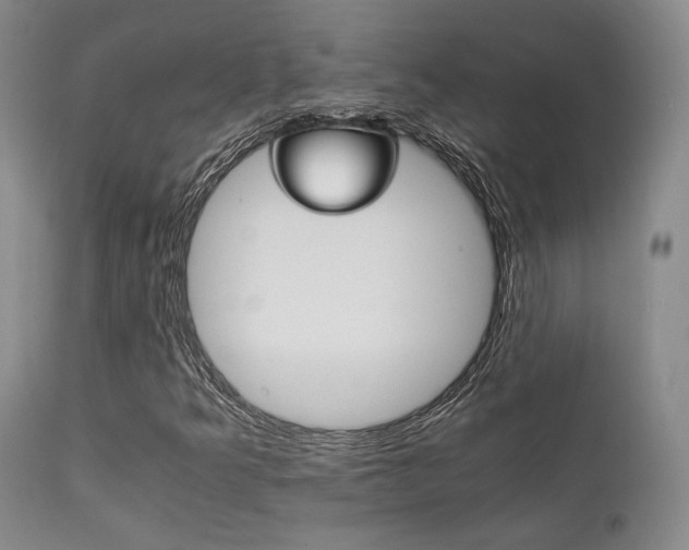 X0000111901349200907271147
