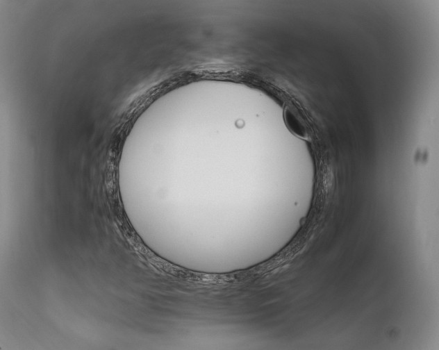 X0000111901350200907271147
