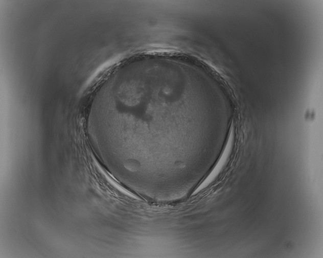 X0000111901351200907271147
