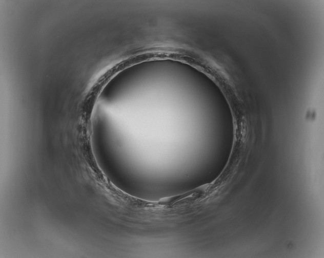X0000111901352200907271147