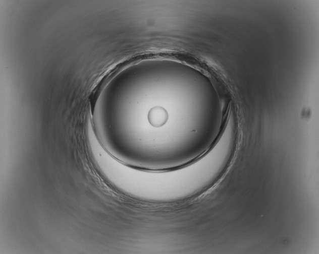 X0000111901353200907271147
