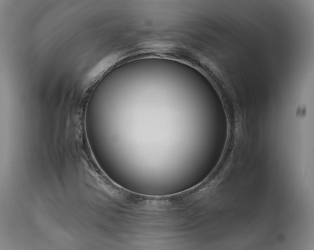 X0000111901354200907271147