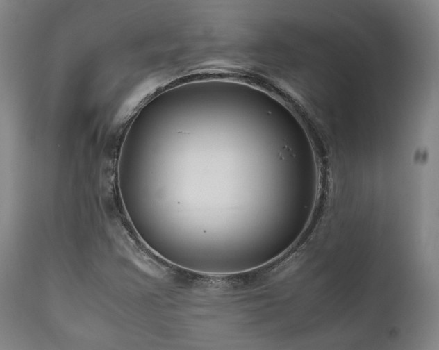X0000111901355200907271147