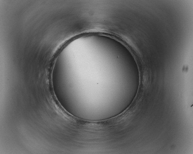 X0000111901356200907271147