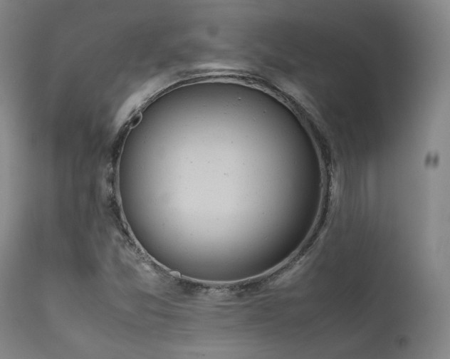 X0000111901357200907271147