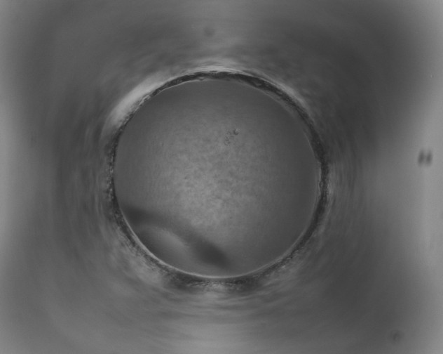 X0000111901359200907271147