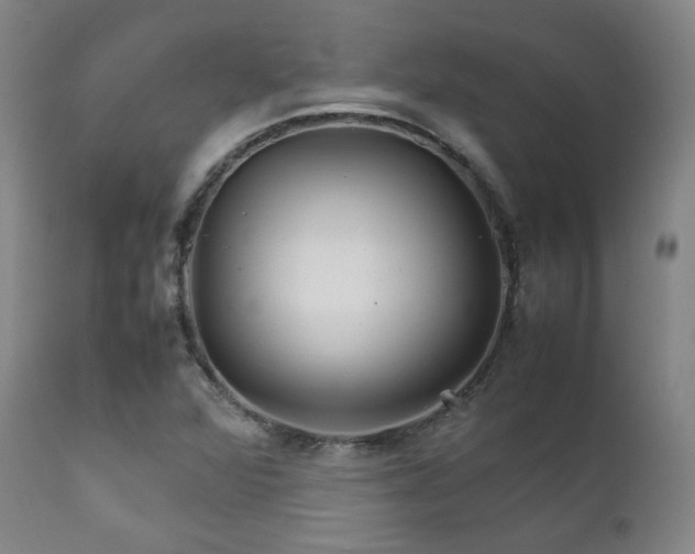 X0000111901360200907271147