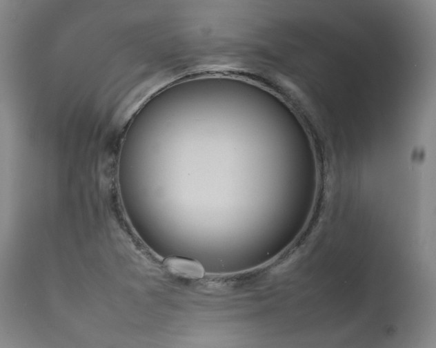 X0000111901361200907271147