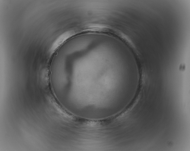 X0000111901362200907271147