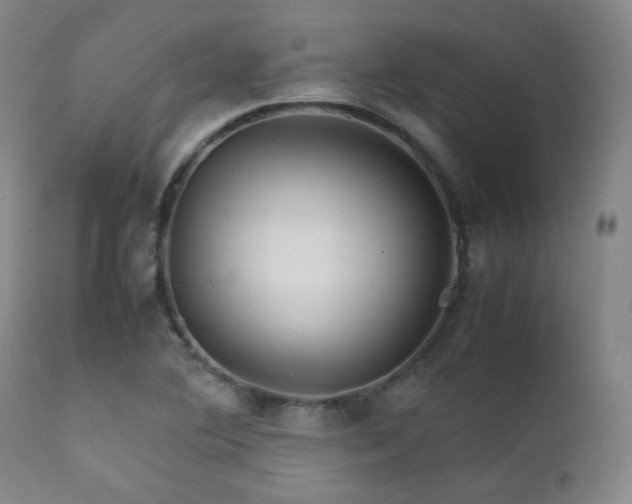 X0000111901364200907271147