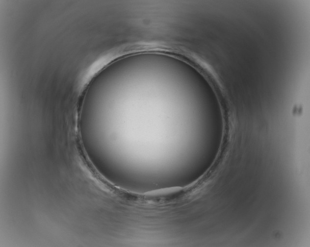 X0000111901365200907271147