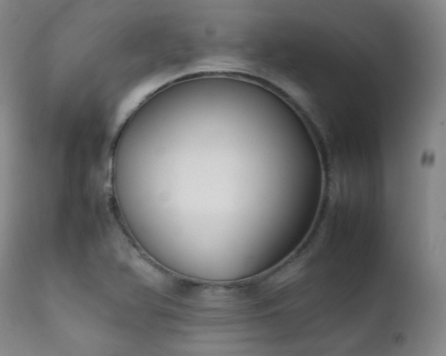 X0000111901366200907271147